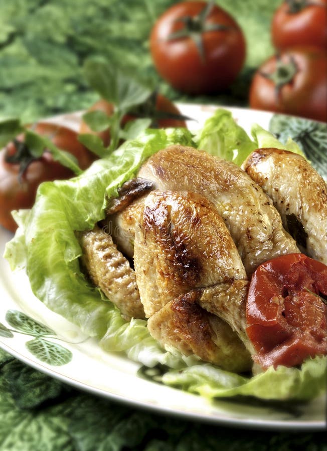 Chicken and roasted tomato stock photo. Image of tomato 19715034