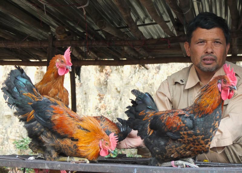 Chicken seller in Nepal