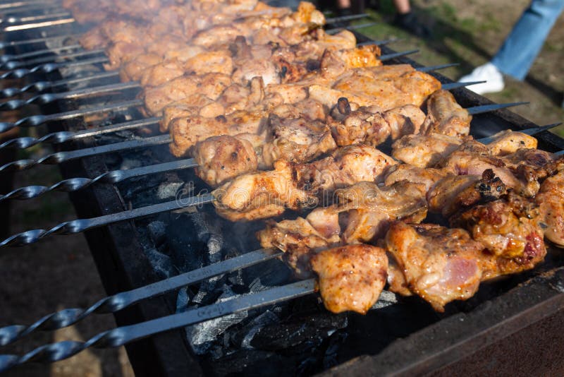 Chicken Shish Kebab is Grilled on the Grill in Nature Stock Image