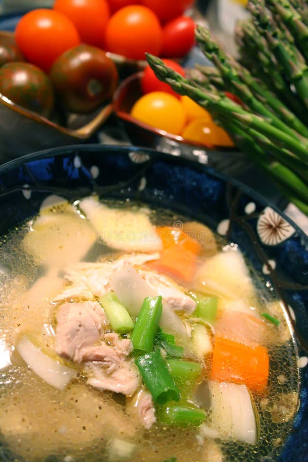 Chicken Soup stock image. Image of appetizer, homemade 11952323