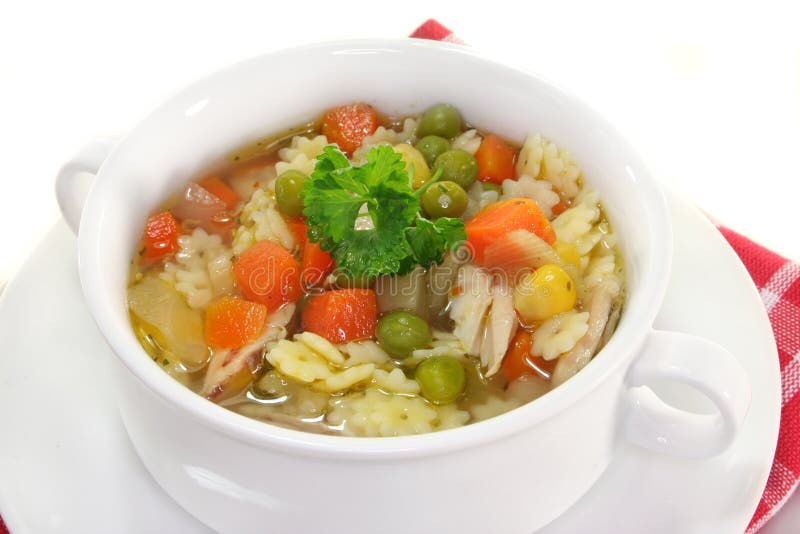 Chicken soup stock photo. Image of chicken, stew, soup 17599480