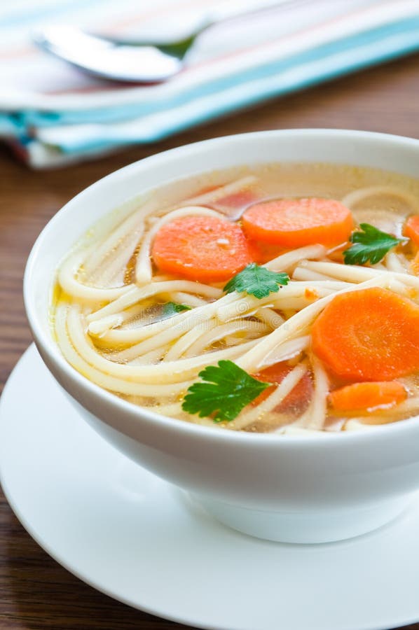 Goose noodle soup stock photo. Image of meal, tasty, homemade 46678944