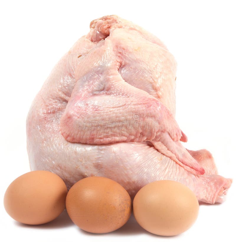 Chicken egg raw 9339329 PNG