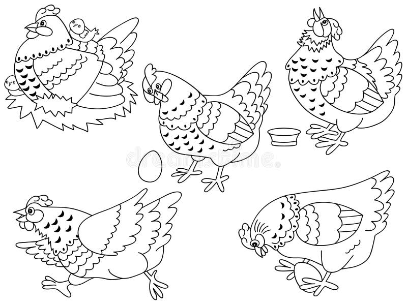 black and white chicken clipart