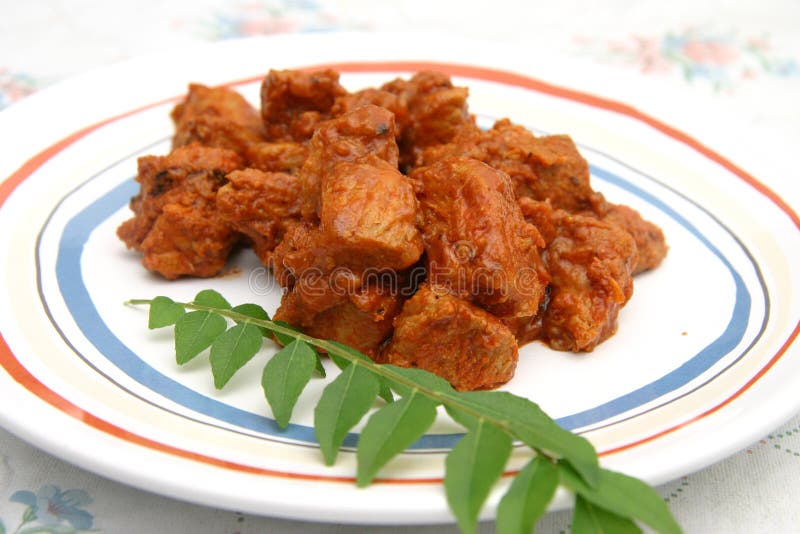 Chicken Vindaloo stock image. Image of frozen, curry, food - 500081