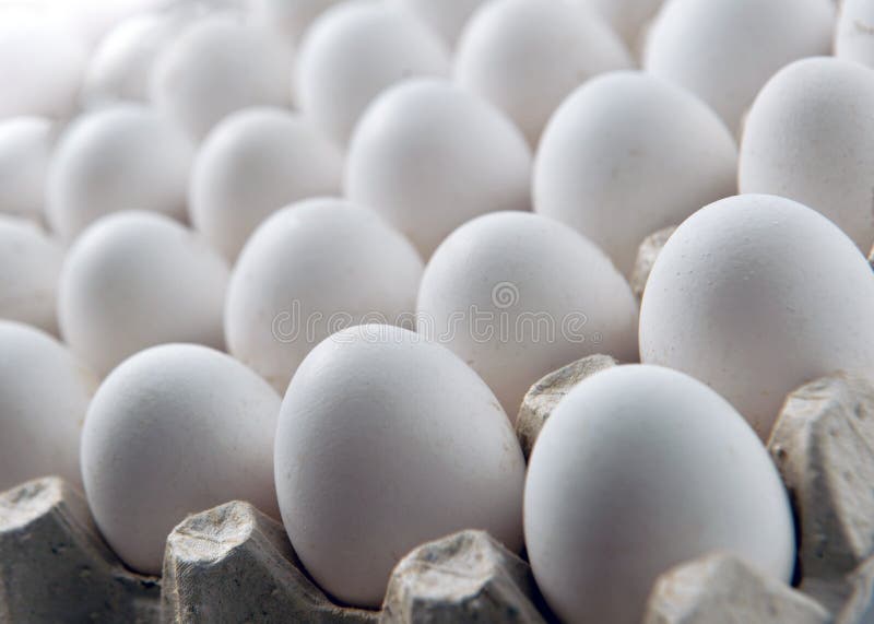 Chicken white egg in a cassette tray or carton box