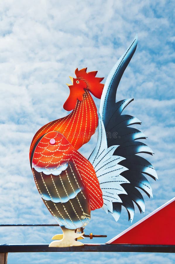 Chicken Wind Direction Royalty Free Stock Photo Image 24599245
