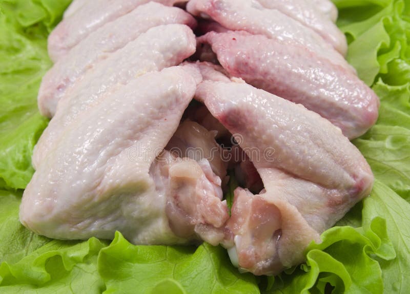Chicken Wings on Green Salad Stock Image Image of chicken, dinner