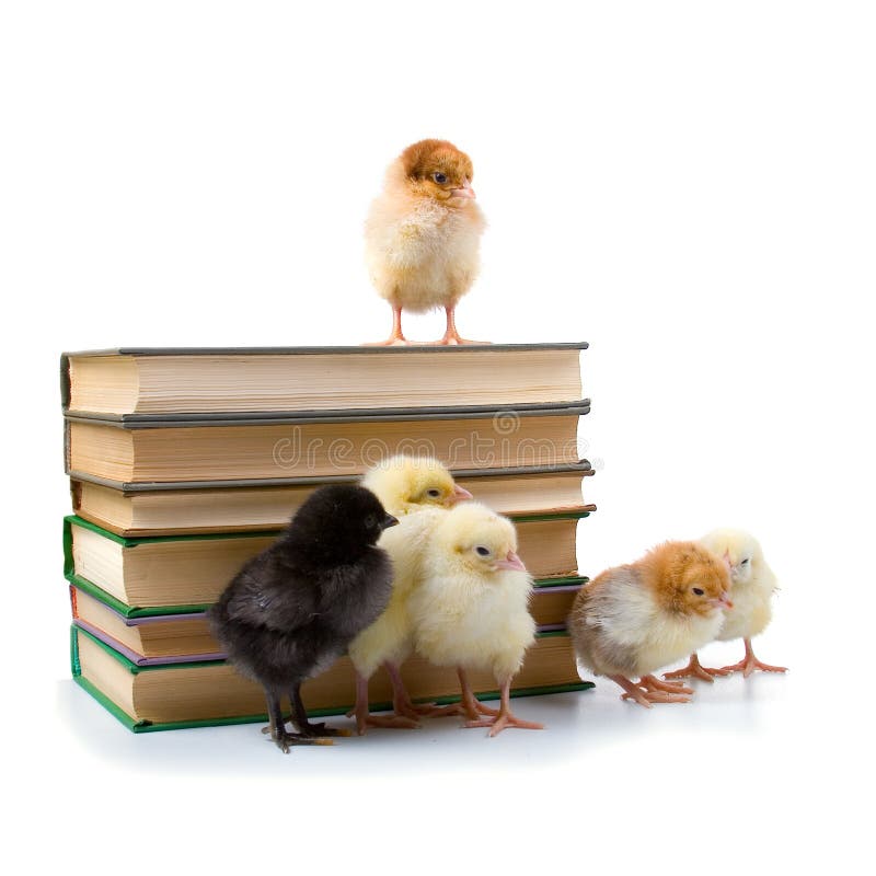 Chickens and books.