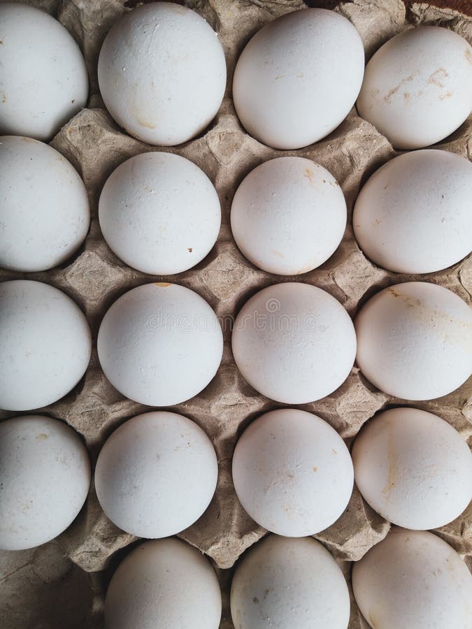 The Chickens eggs on the egg. royalty free stock image