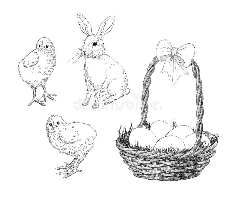 Chickens, rabbit and basket