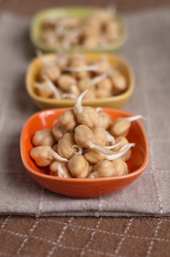 Chickpea sprouts stock photo. Image of dark, healthy 41368066