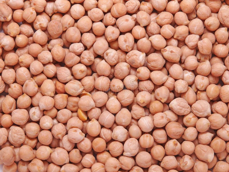 Chickpeas stock image. Image of vegetable, close, grain 45341089