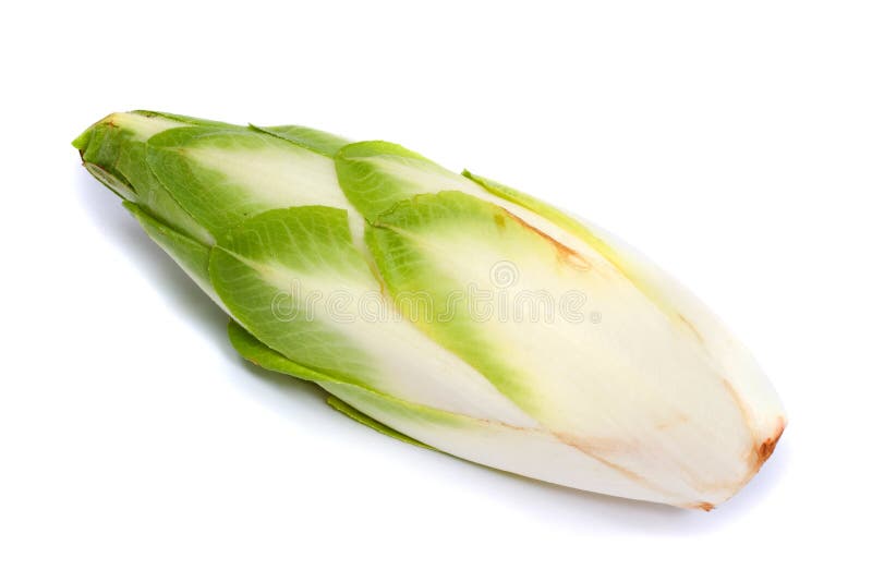 Chicory