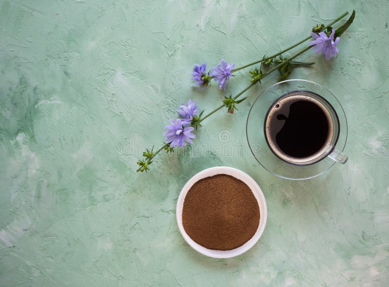Chicory Coffee. a Substitute for Traditional Coffee, a Herbal Drink