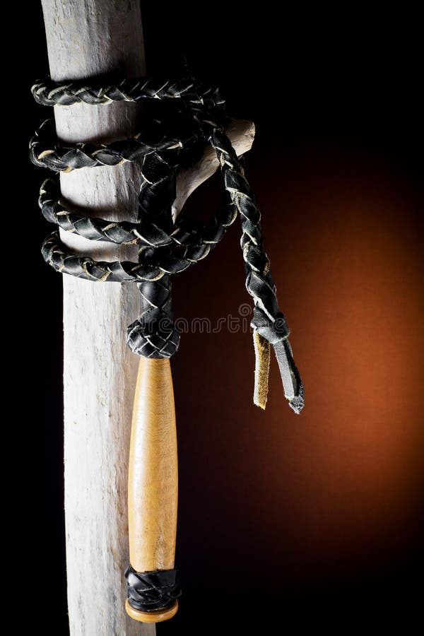 Whip with wooden handle, tied to a tree trunk. Whip with wooden handle, tied to a tree trunk