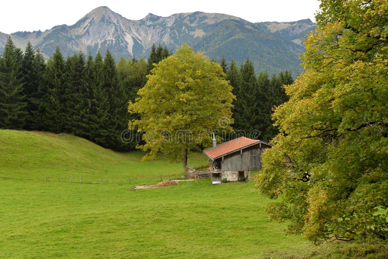 Chiemgau Baviera Alemanha Paisagem Alpina Alemão Do Campo Foto De