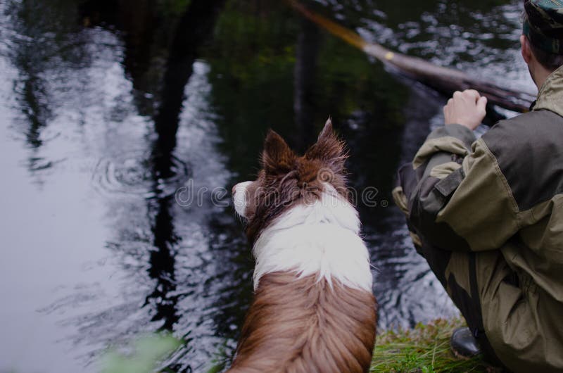 Chien avec un homme par le lac fin brune de border collie image libre de droits Chien avec un homme par le lac fin brune de border collie image libre de droits