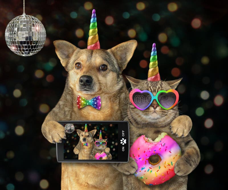 Chien avec une licorne de chat à une partie 2 photo stock