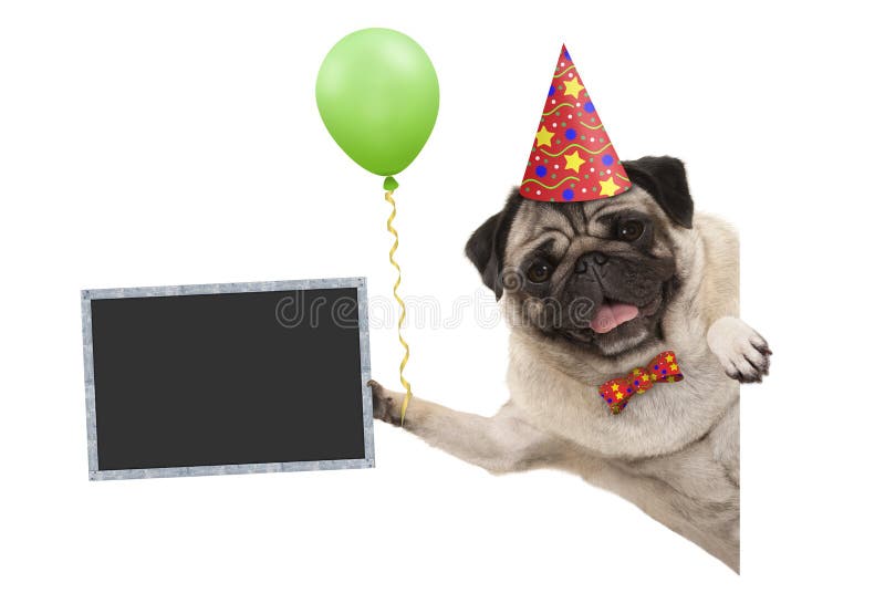 Bon anniversaire chien image libre de droit par damedeeso © #72784309