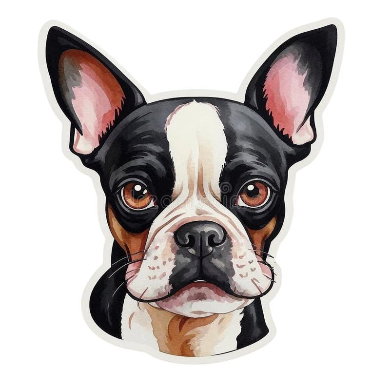 Chien de Boston Terrier tête visage clip art portrait autocollant illustration stock