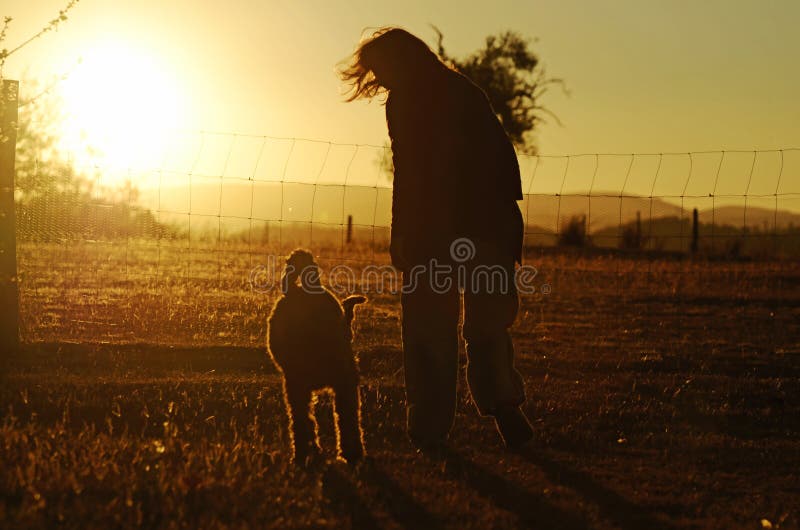 Chien de femme de meilleurs amis de silhouettes marchant le pays de coucher du soleil de lueur d'or photo stock Chien de femme de meilleurs amis de silhouettes marchant le pays de coucher du soleil de lueur d'or photo stock