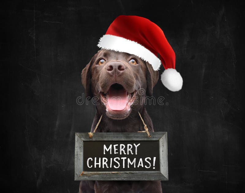 Labrador Chien Joyeux Noël Personnalisé Carte de vœux codetm 128