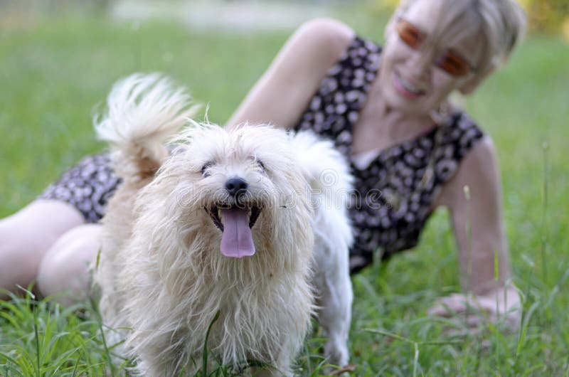 Chien de sourire heureux jouant ayant l'amusement avec la femme mûre image stock Chien de sourire heureux jouant ayant l'amusement avec la femme mûre image stock