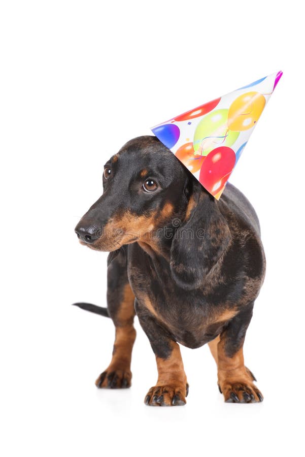 "ont un super anniversaire" drôle de chiens saucisse Dachshunds Superheroes Carte Anniversaire