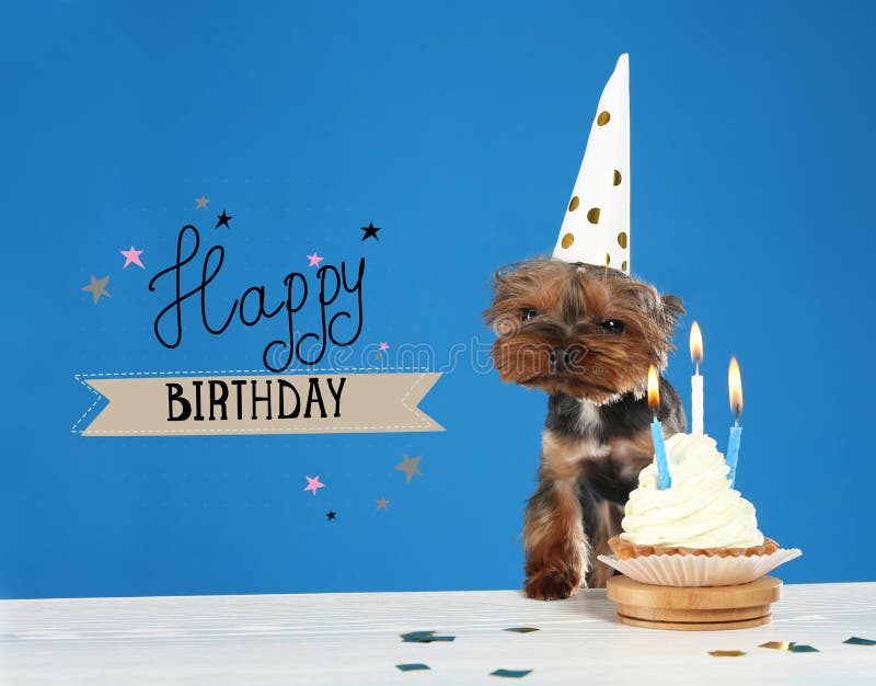 Fond Bleu Des Textes De Joyeux Anniversaire Photos Libres De Droits Et Gratuites De Dreamstime Fond Bleu Des Textes De Joyeux Anniversaire Photos Libres De Droits Et Gratuites De Dreamstime