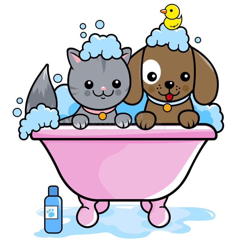Chien Et Chat Prenant Un Bain Illustration de Vecteur Image 46903661