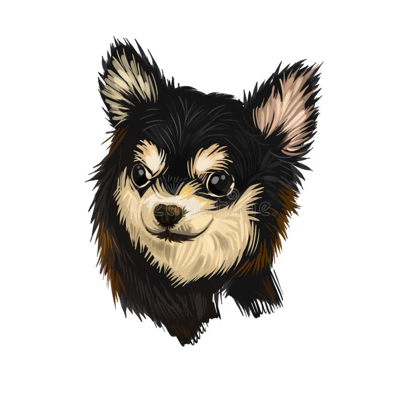 Chihuahua dog breed isolated on white background digital art illustration. Cute pet hand drawn portrait. Graphic clipart design vector illustration Chihuahua dog breed isolated on white background digital art illustration. Cute pet hand drawn portrait. Graphic clipart design vector illustration
