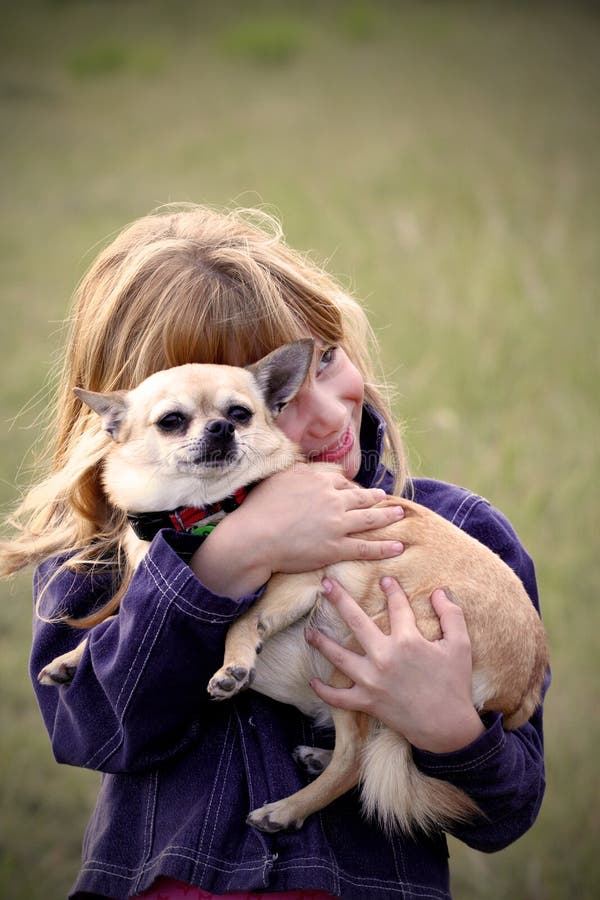 chihuahua dziewczyny mały zwierzę domowe zdjęcie royalty free chihuahua dziewczyny mały zwierzę domowe zdjęcie royalty free