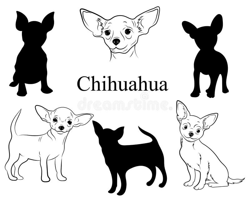 Chihuahua Dog Drawing Stock Illustrations 1 487 Chihuahua Dog Drawing Stock Illustrations Vectors Clipart Dreamstime