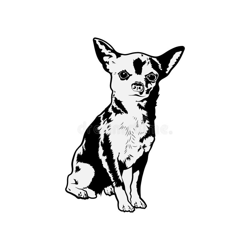 Download Chihuahua Svg Lindo Archivos Svg Para Cricut Stock De Ilustracion Ilustracion De Arte Historieta 193360913