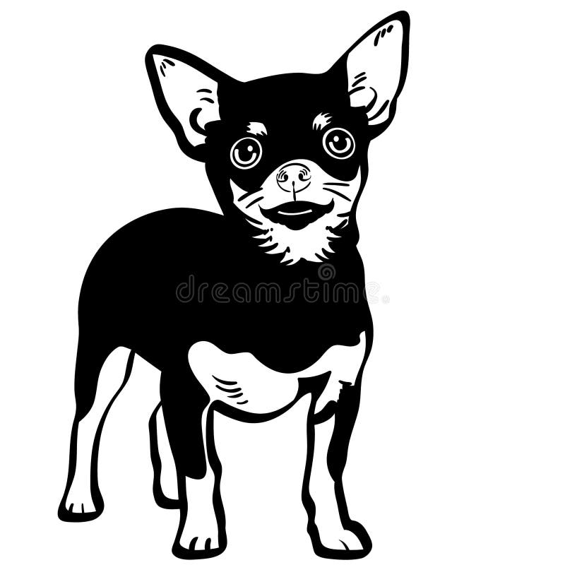 Free Free 302 Chihuahua Mandala Svg Free SVG PNG EPS DXF File