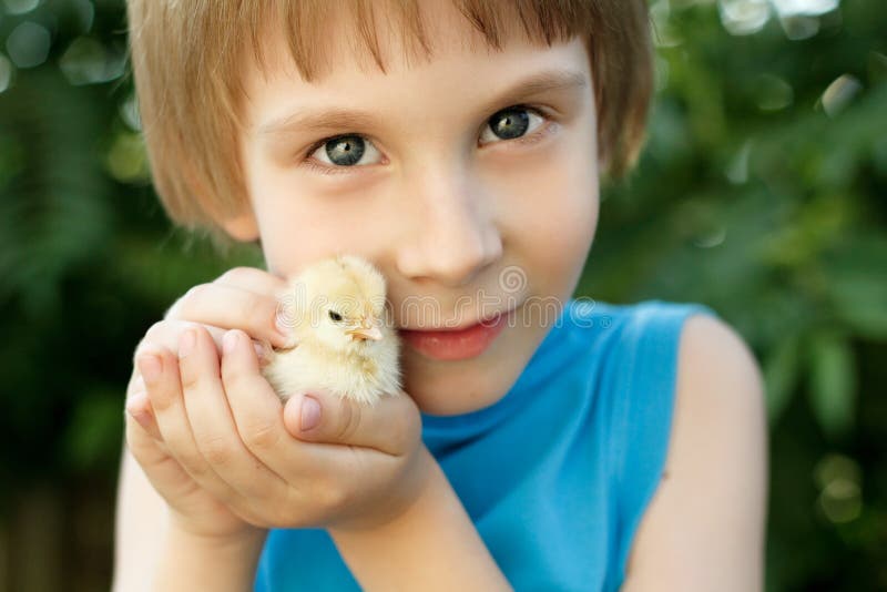 Chiken gulliga kramar för pojke i utomhus- handnatursommar royaltyfria foton