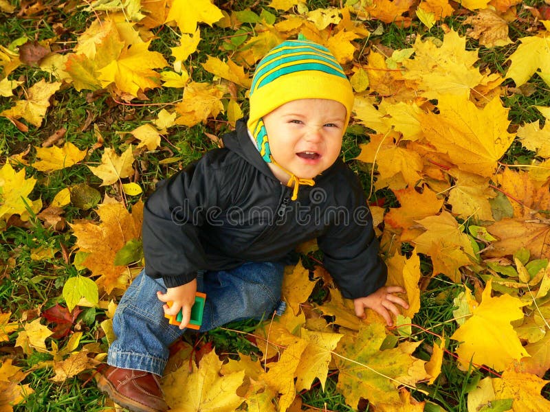 Wince child on the leafs