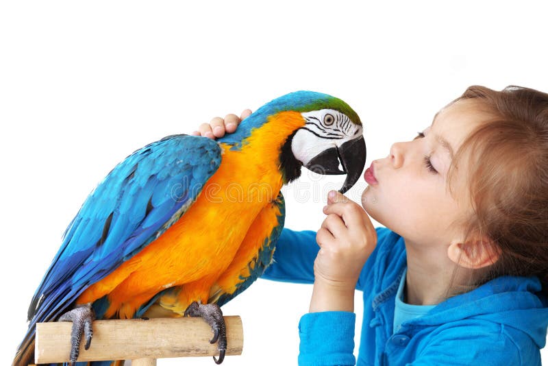 Child with ara parrot