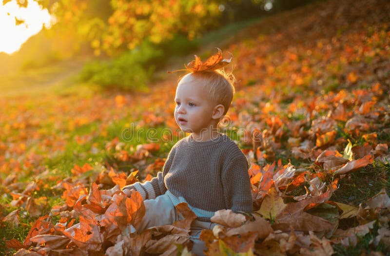 Child autumn leaves background. Warm moments of autumn. Toddler boy blue eyes enjoy autumn. Small baby toddler on sunny stock image