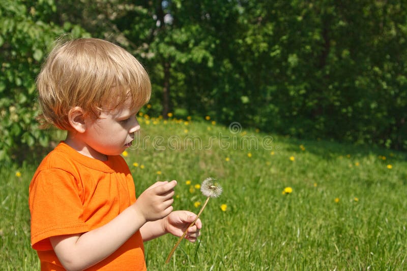 Child blowing dandelion