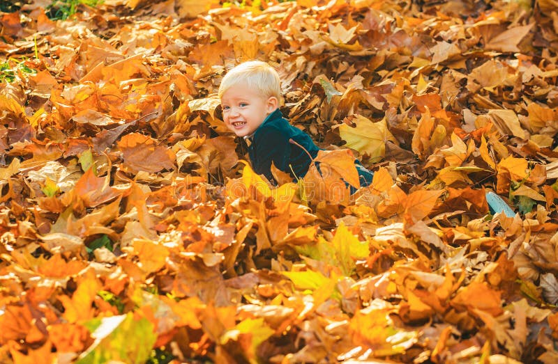 Child boy lying on the autumn park. Happy child throwing the fallen leaves up, playing in the autumn park. royalty free stock image