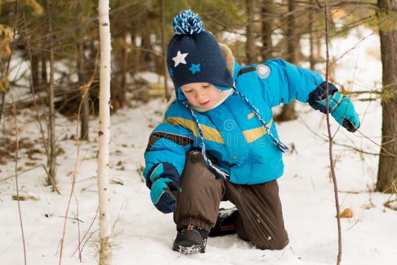 A Child Boy Takes a Walk in a Winter Forest Stock Photo - Image of cold ...