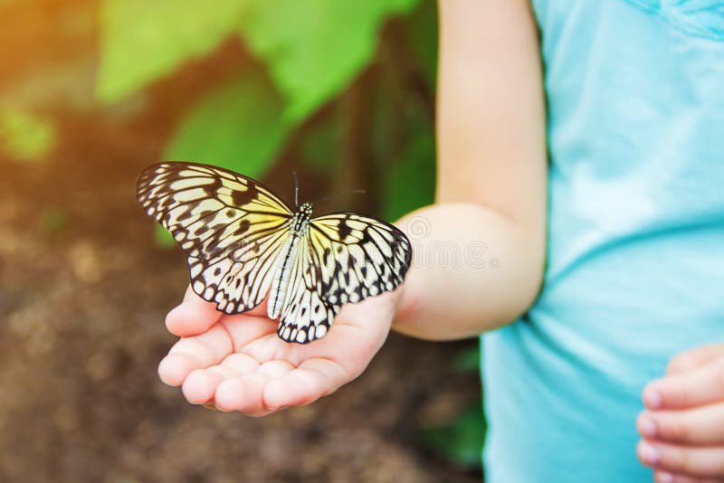 Child with a butterfly. stock photo. Image of environment 118360098
