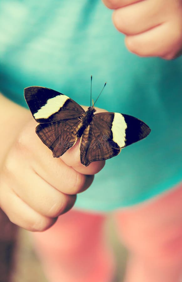 Child with a butterfly. stock photo. Image of hold, copy 118360130