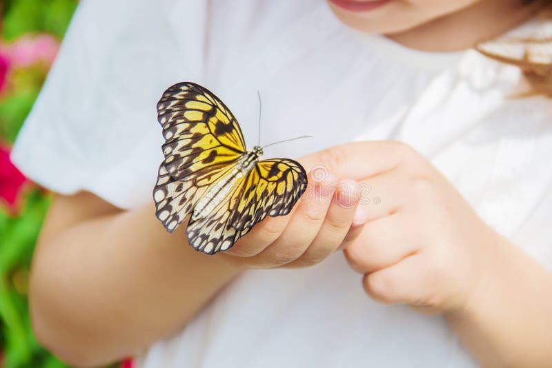 Child with a butterfly. stock photo. Image of care, baby 118362660