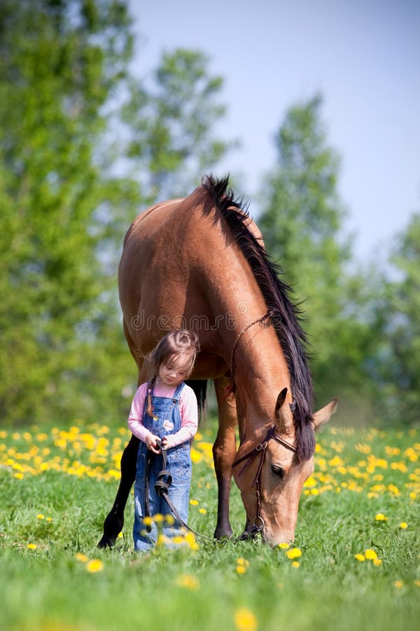 Child with chestnut horse in field stock image Child with chestnut horse in field stock image