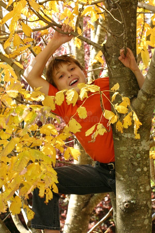 Child climbing up a tree stock photography Child climbing up a tree stock photography