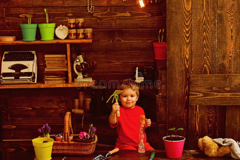 Child concept. Little child with gardening tools. Cute child in garden shed. Happy child gardener stock photography Child concept. Little child with gardening tools. Cute child in garden shed. Happy child gardener stock photography