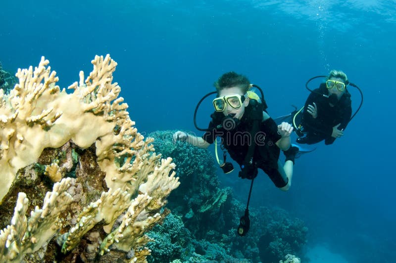 Child and dad scuba diving